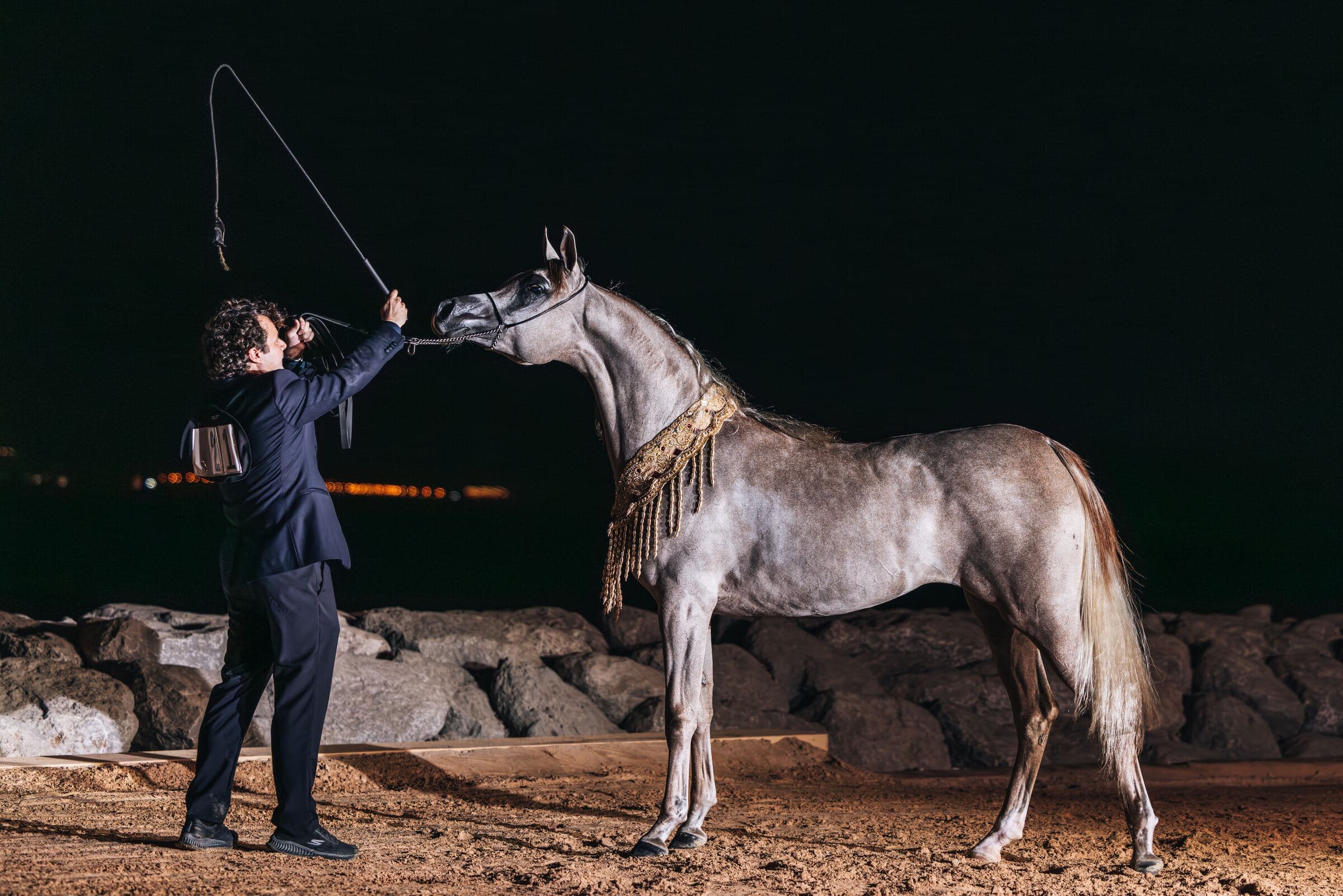 Un cheval arabe gris paré d’une couverture brodée, présenté de nuit au bord de l’eau